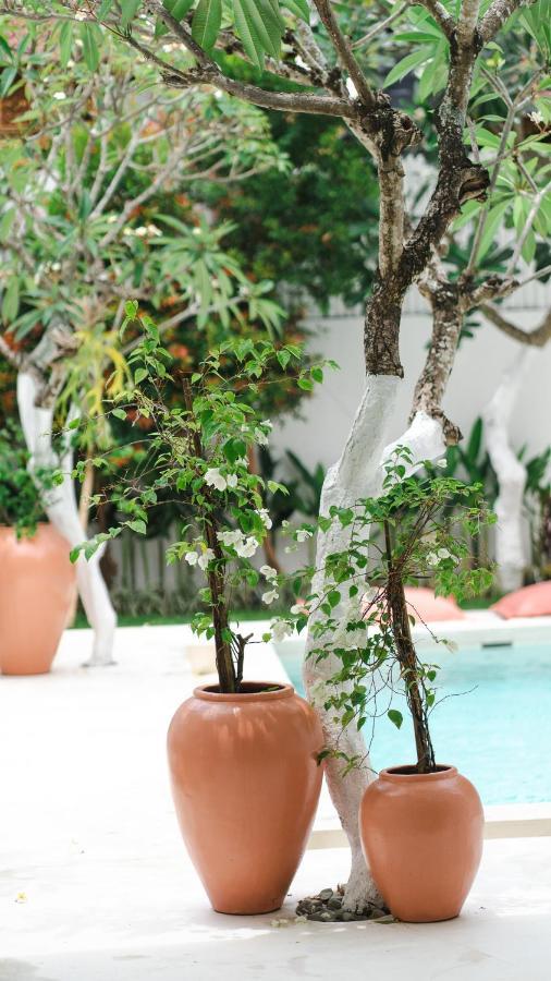 Villa Diola 3 Canggu  Luaran gambar
